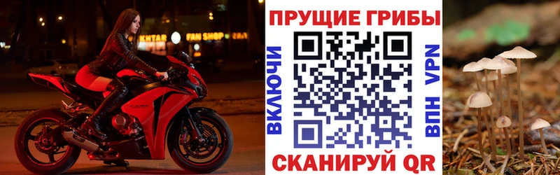Псилоцибиновые грибы GOLDEN TEACHER  где продают наркотики  hydra ONION  Малгобек 
