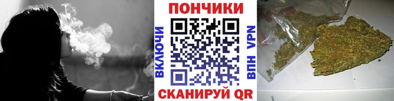 как найти Малгобек МАРИХУАНА сатива